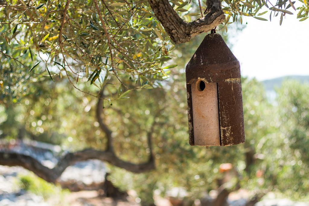 Holiday Home Nikol Veli Lošinj المظهر الخارجي الصورة